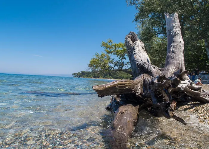 Ubytování v soukromí Ecer Kusadası