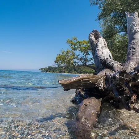 Accommodatie bij particulieren Ecer Kuşadası