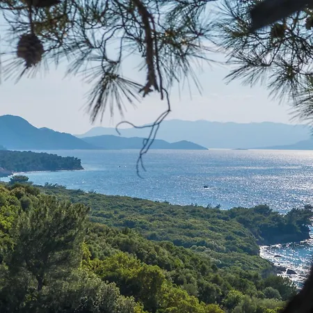 Accommodatie bij particulieren Ecer Kuşadası