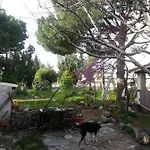 Ecer Homestay Kusadasi