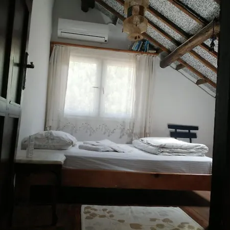 Проживание в семье Ecer