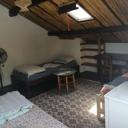 Проживание в семье Ecer *