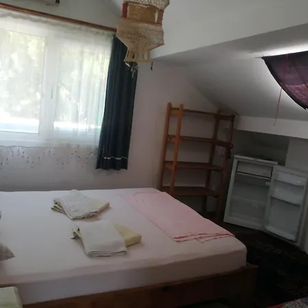Ecer Проживание в семье *