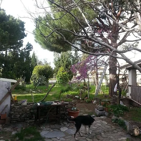 Ecer Habitación en casa particular Kusadasi